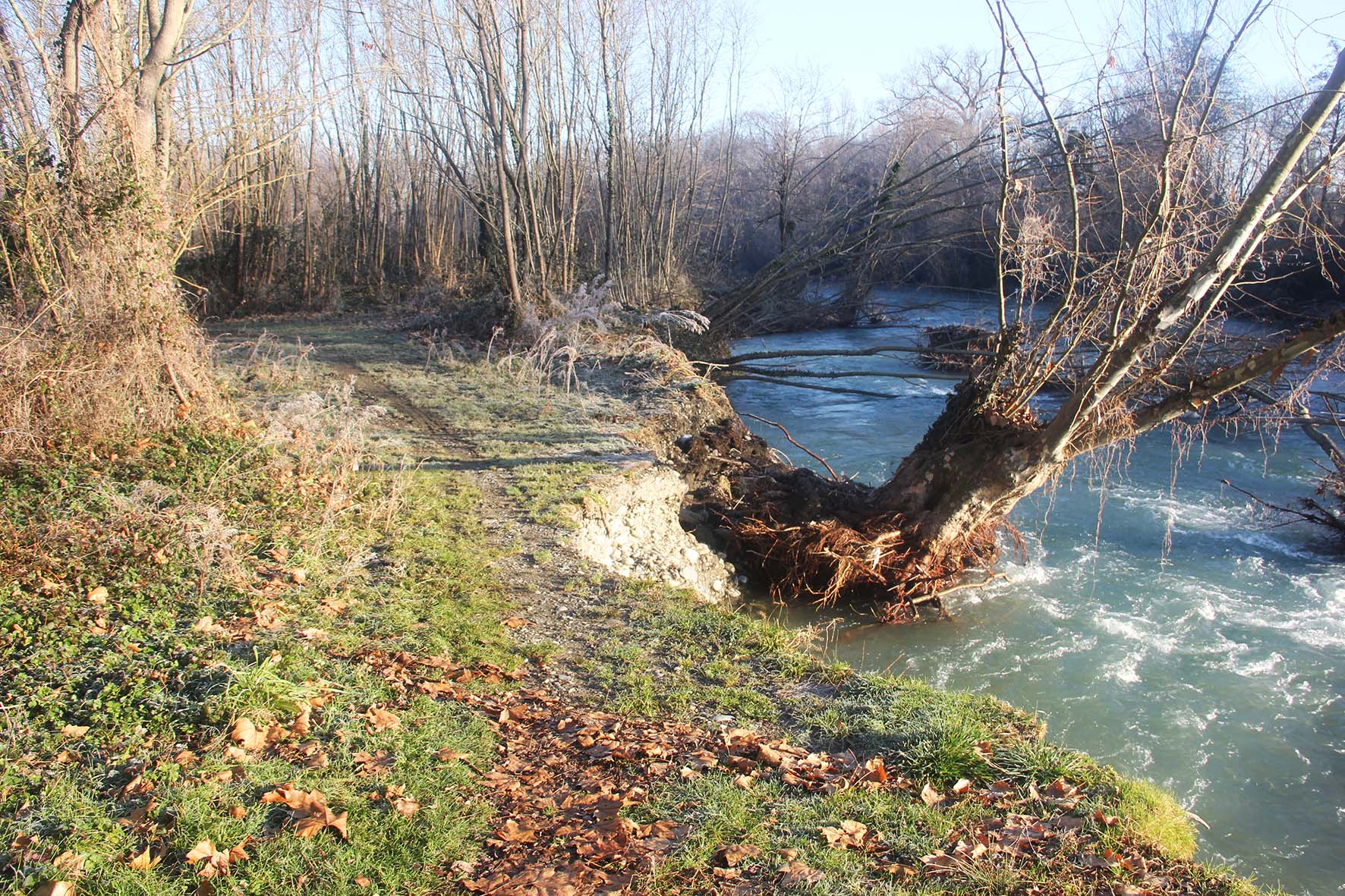 Dégâts sur le Sentier de l'Adour