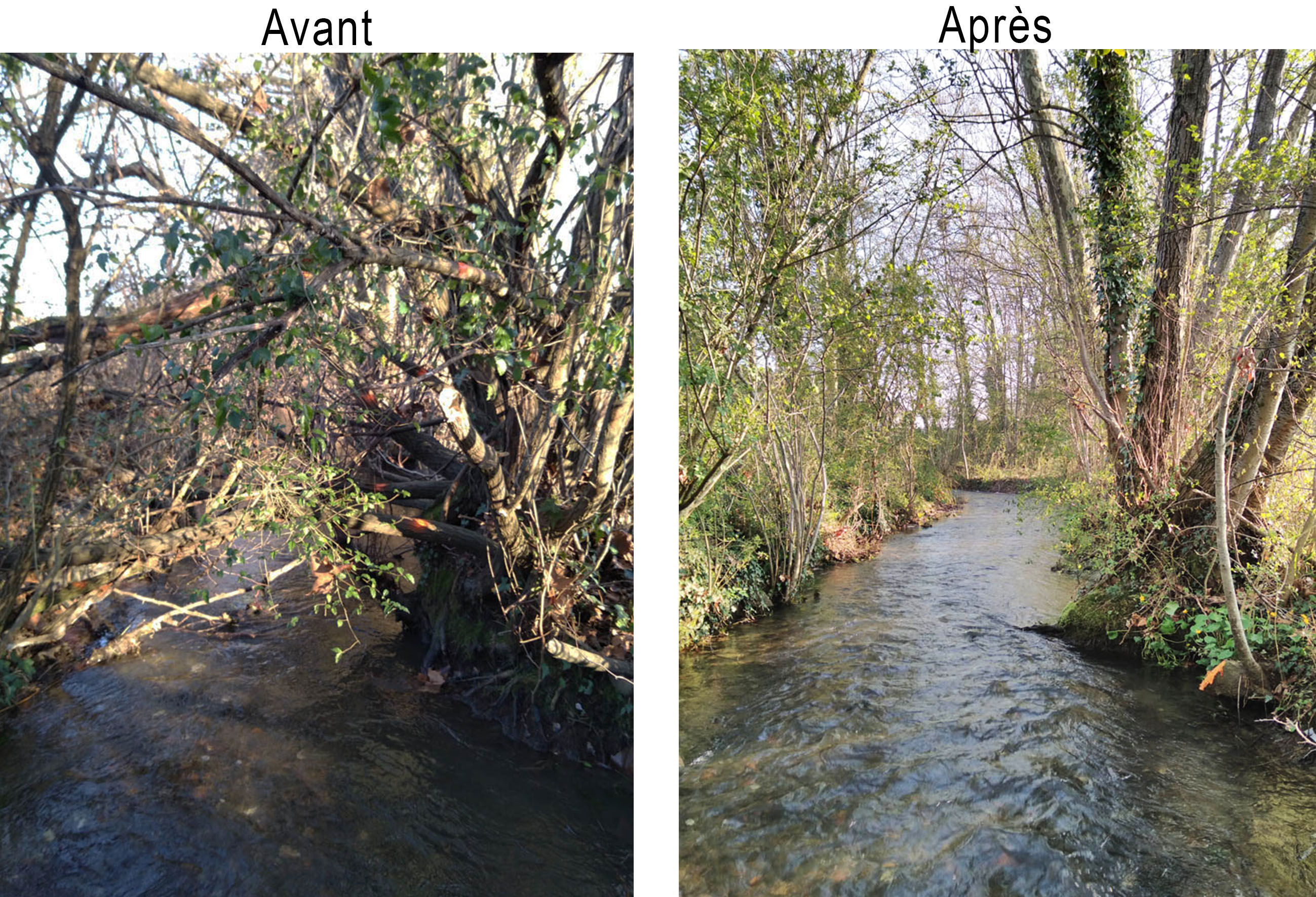 TRAITEMENT DE LA VEGETATION SUR LA PARTIE AVAL DU CANAL DU MOULIN D’AUREILHAN