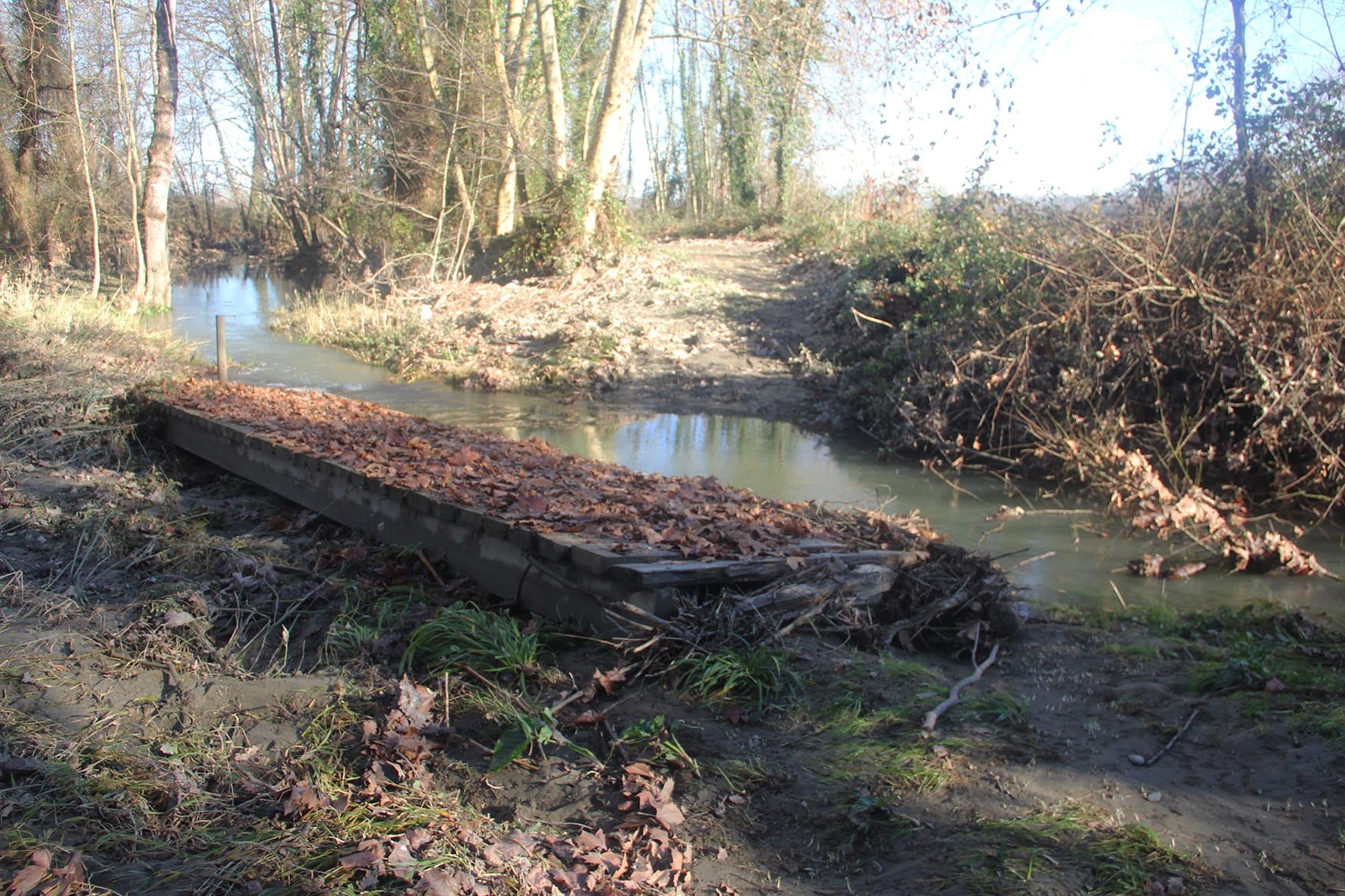 Sentier de l'Adour post-crue.