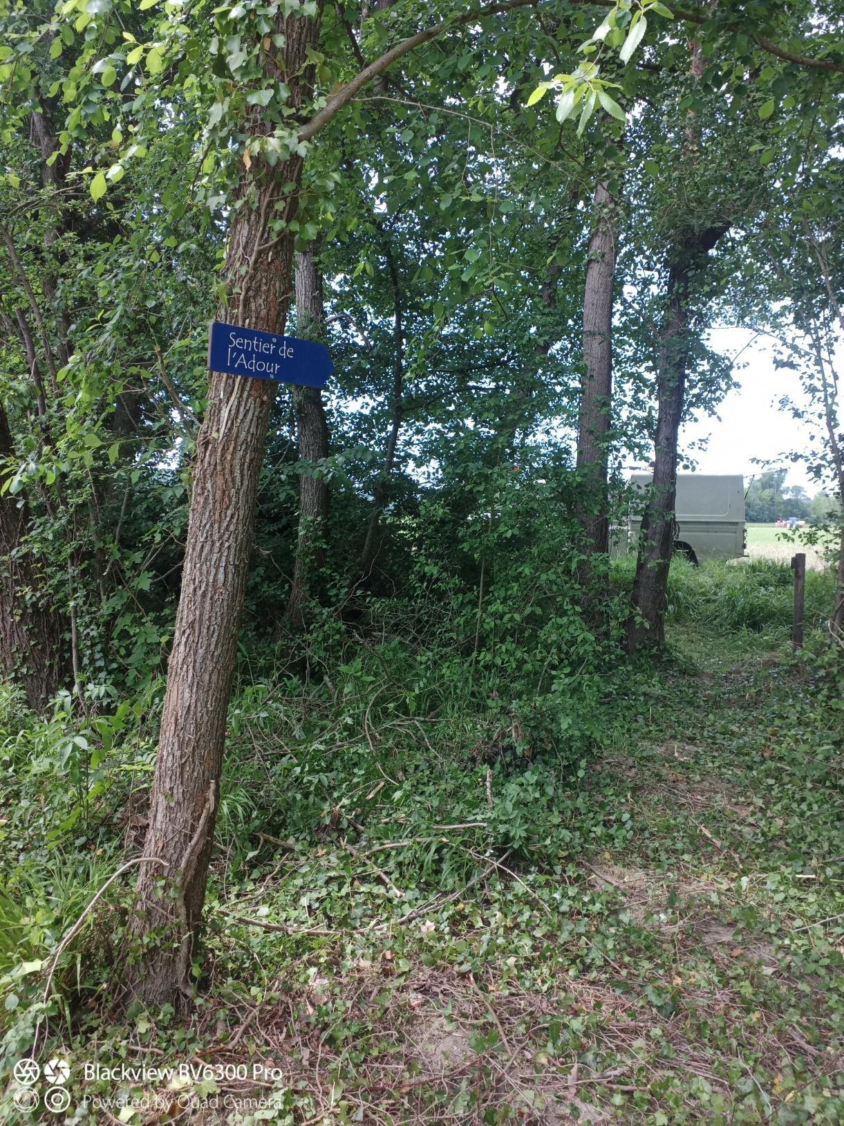 Entretien du Sentier de l'Adour